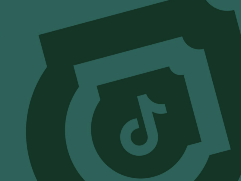 TikTok Automation Campaign