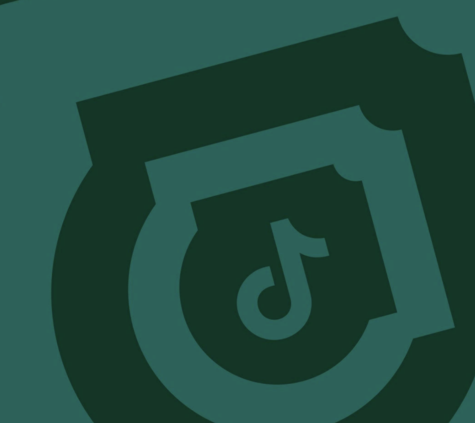 TikTok Automation Campaign